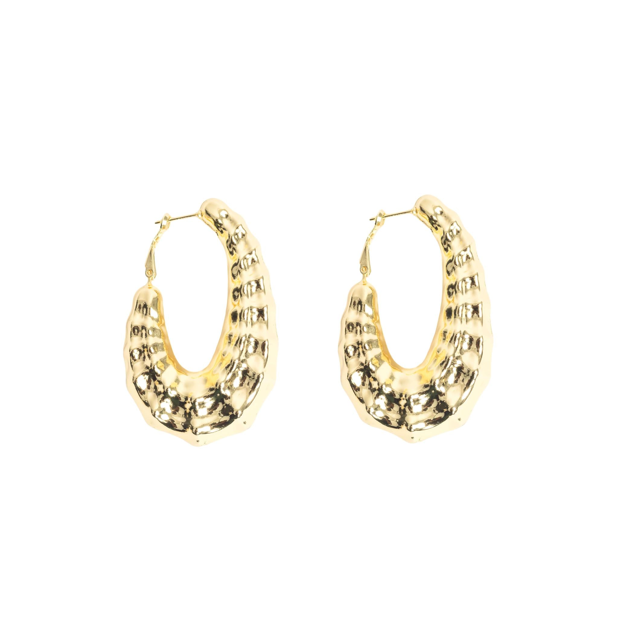 Gold Hoops Earring