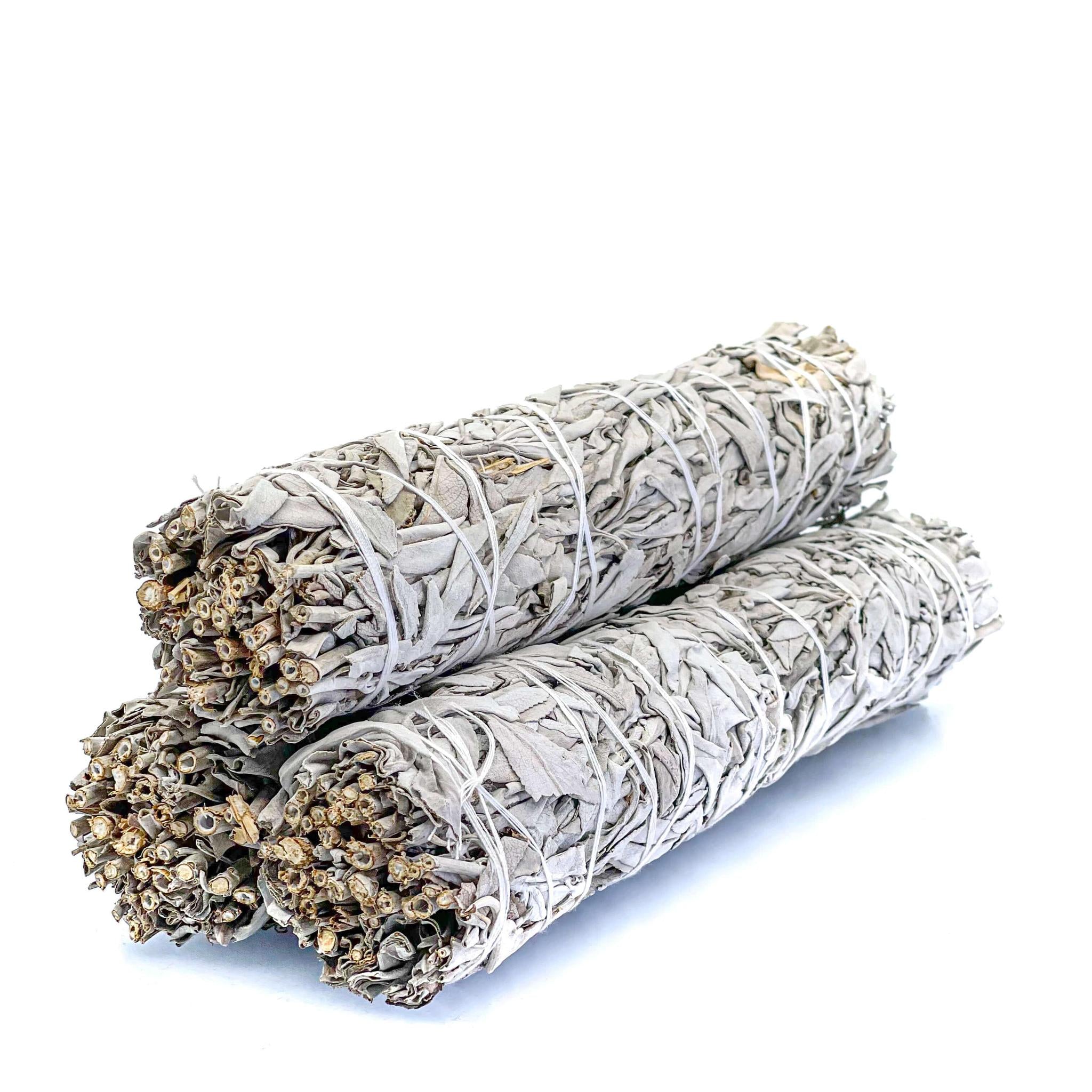 White Sage - Salvia Apiana