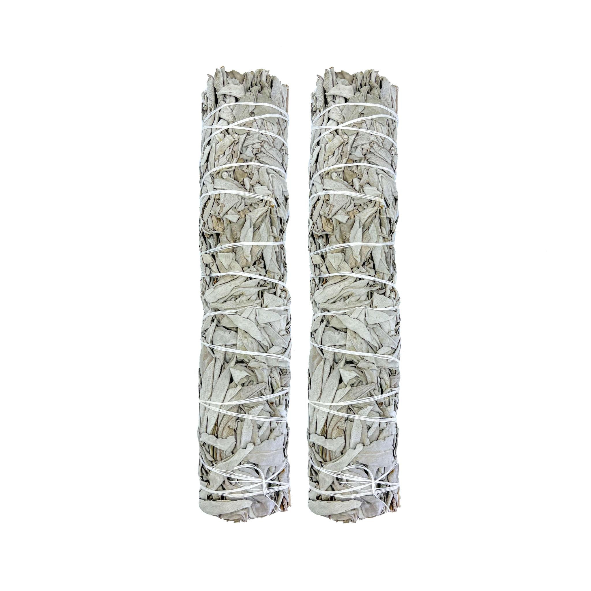 White Sage - Salvia Apiana