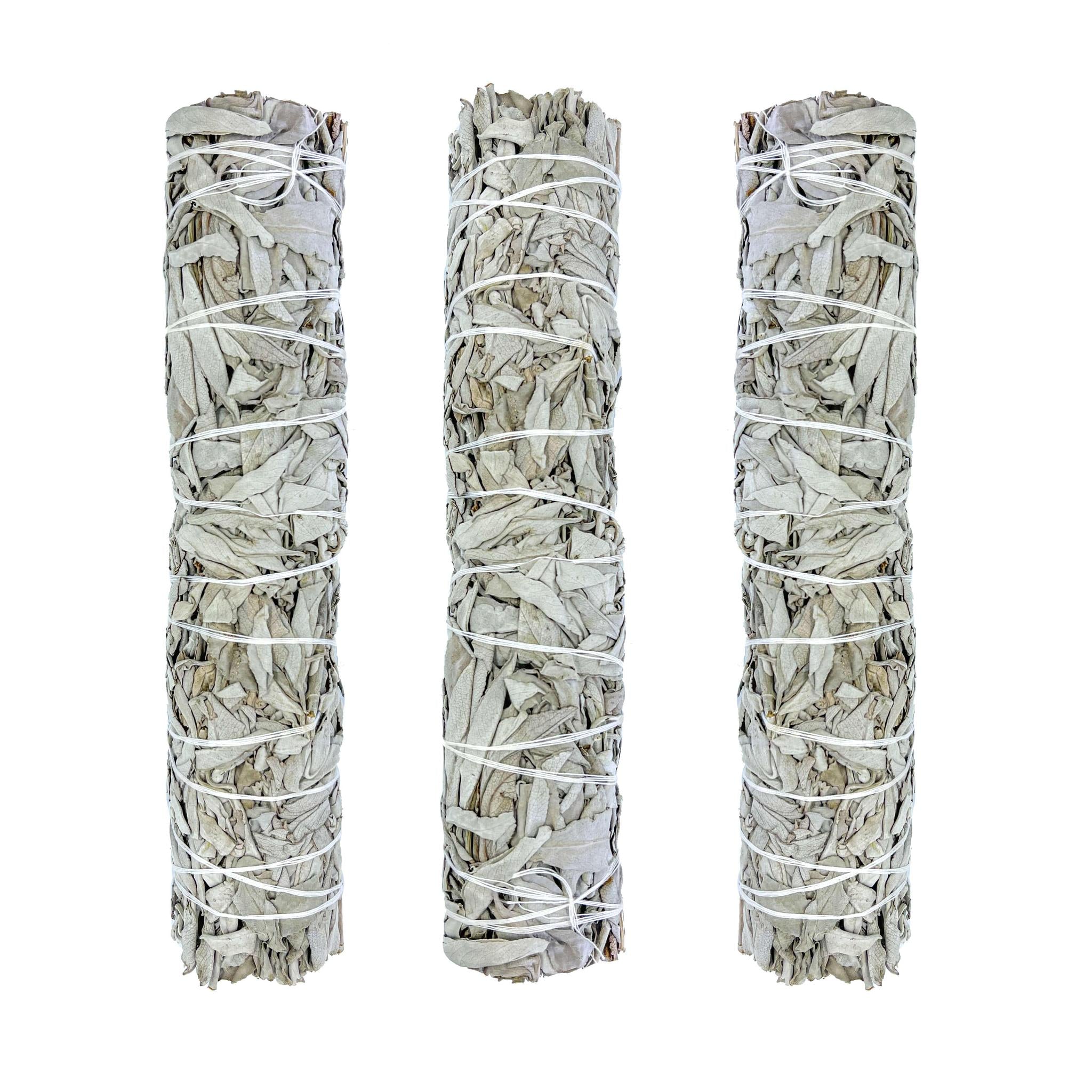 White Sage - Salvia Apiana