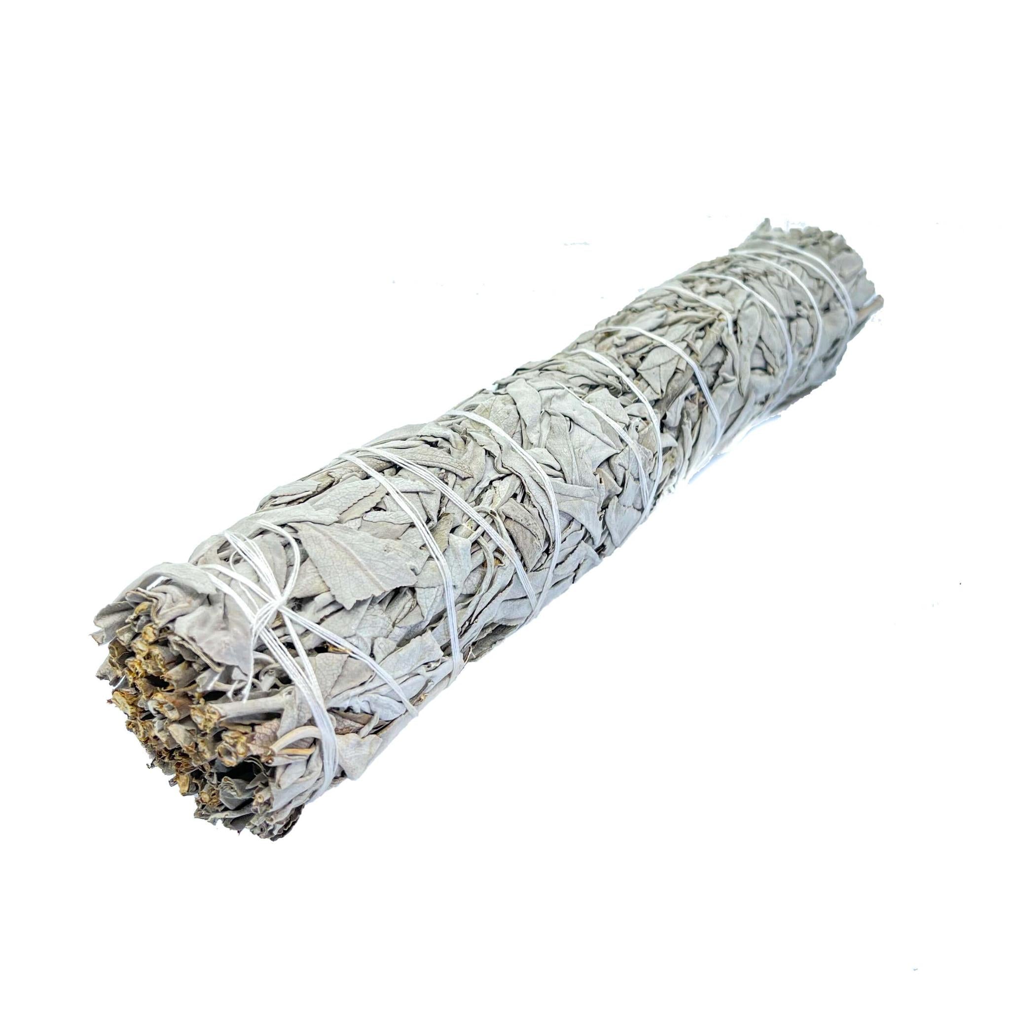 White Sage - Salvia Apiana