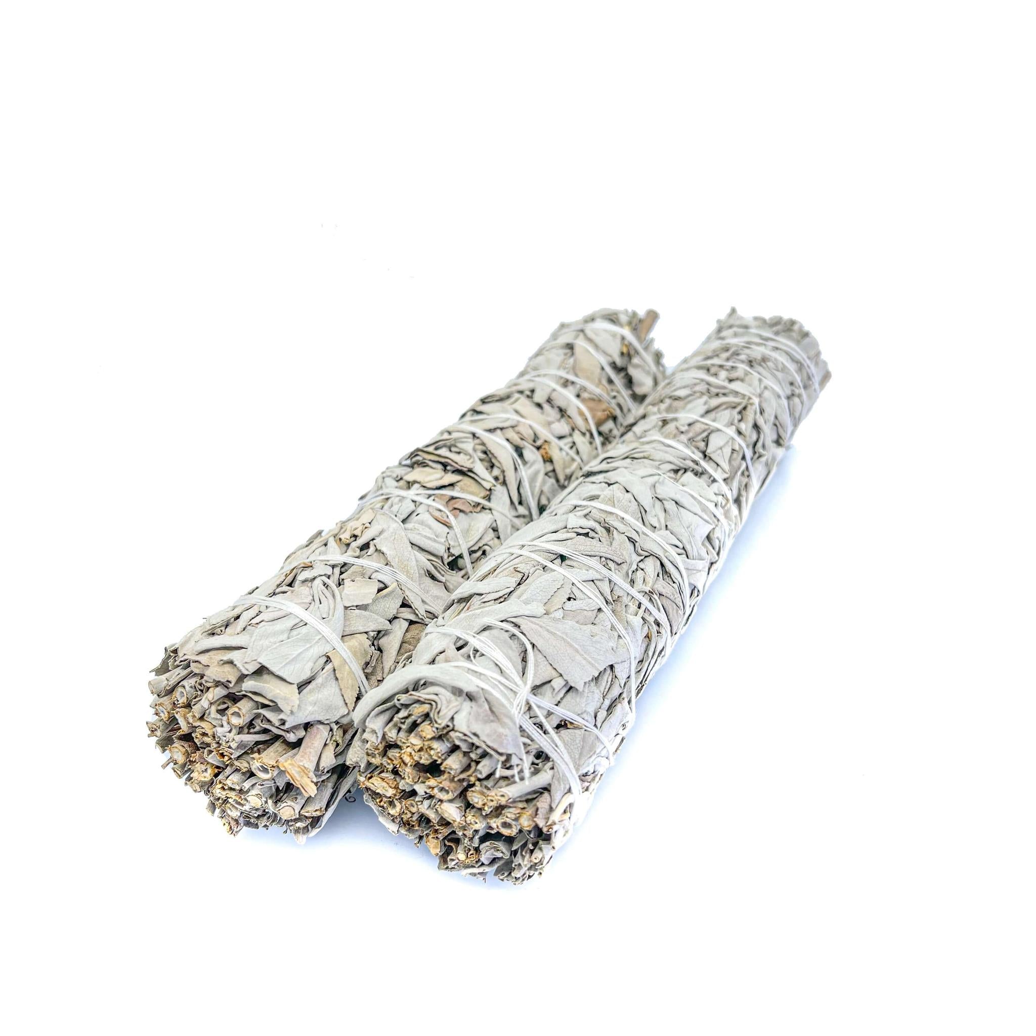 White Sage - Salvia Apiana