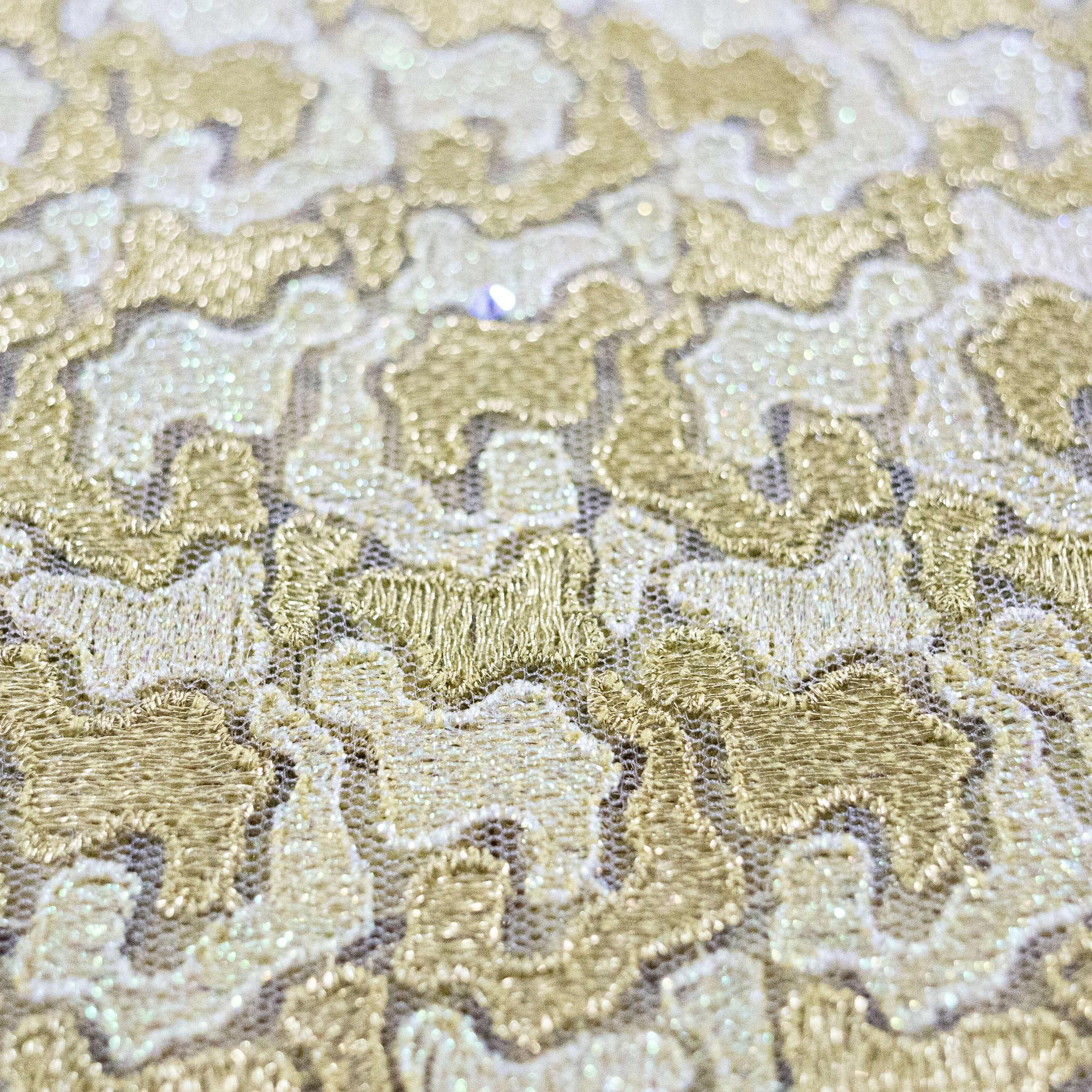 Gold Net Lace