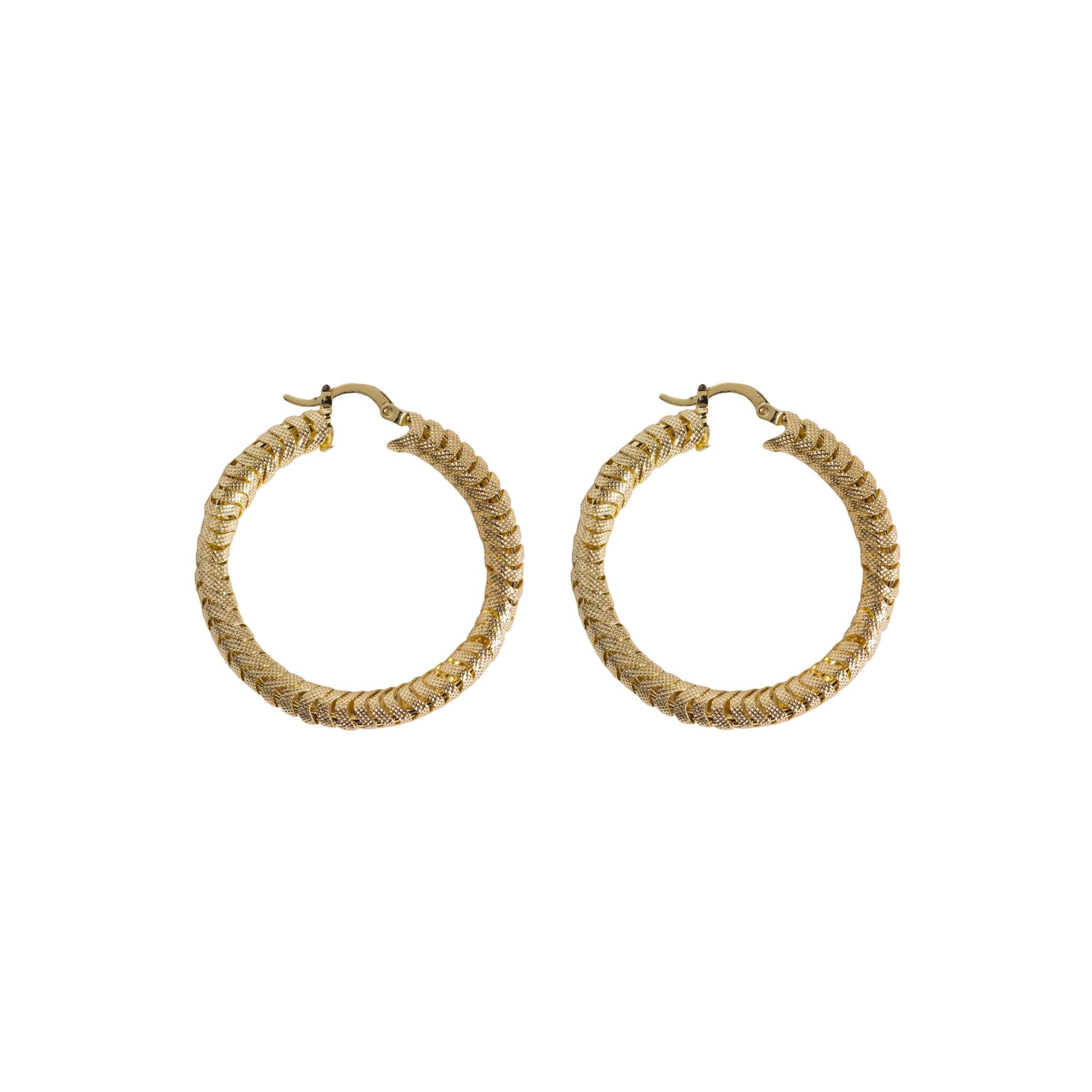 Gold Hoops Earring