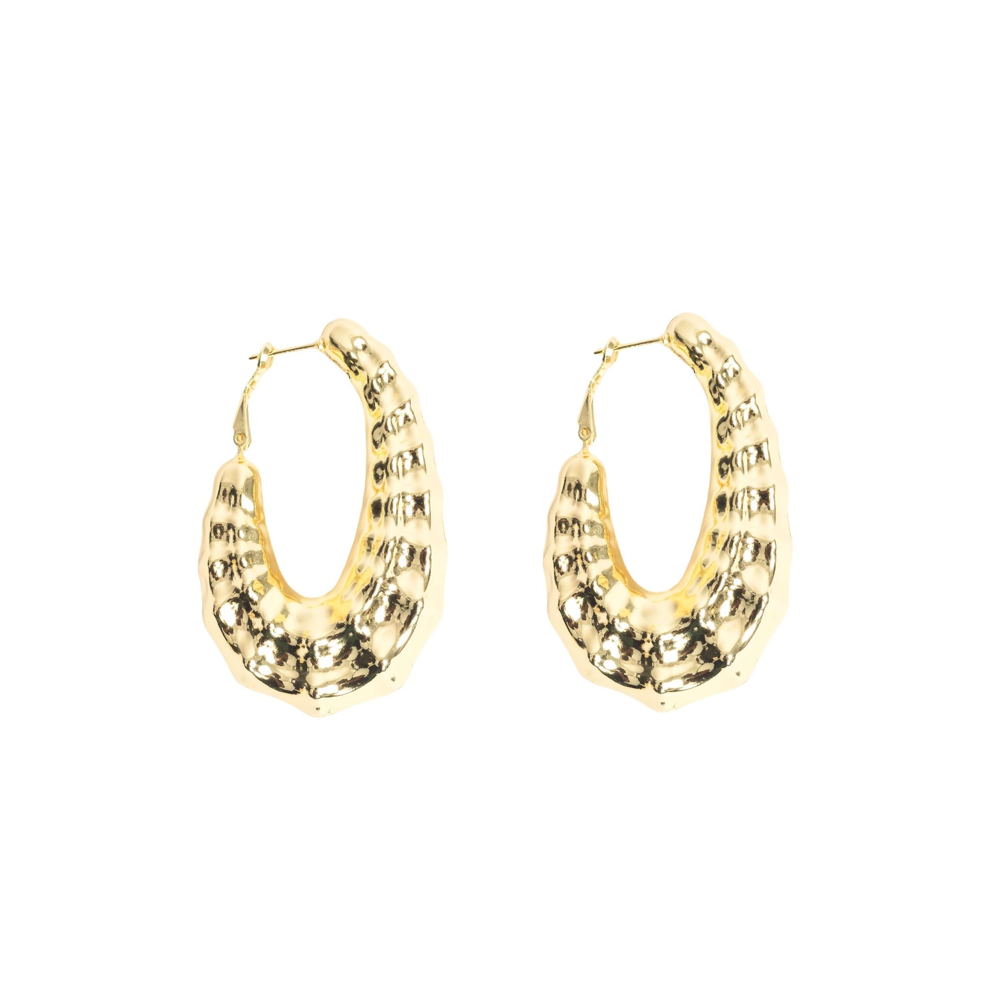 Gold Hoops Earring