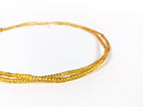 Clear Gold Elastic Waist Beads